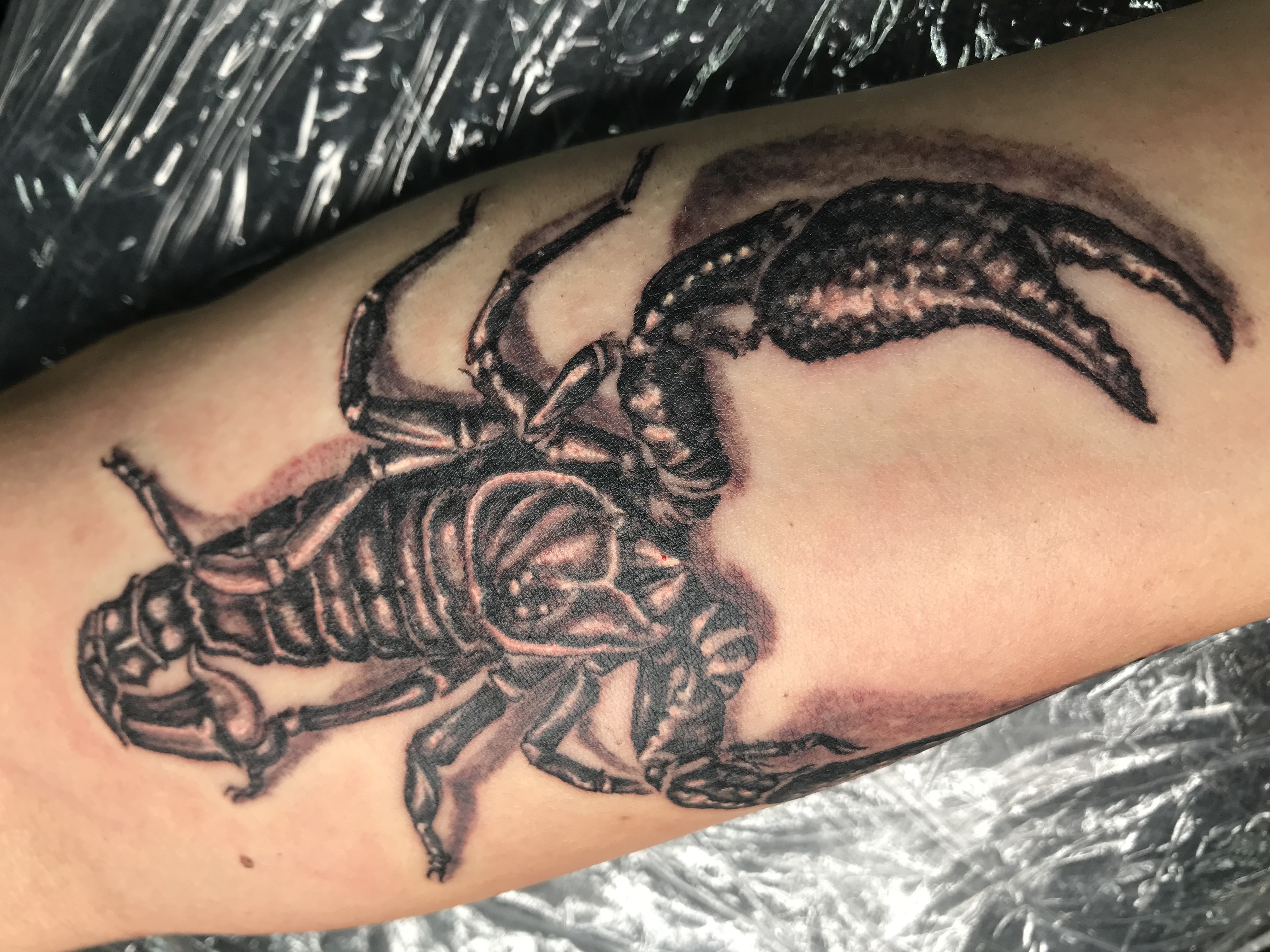 Татуировка скорпион на рук�