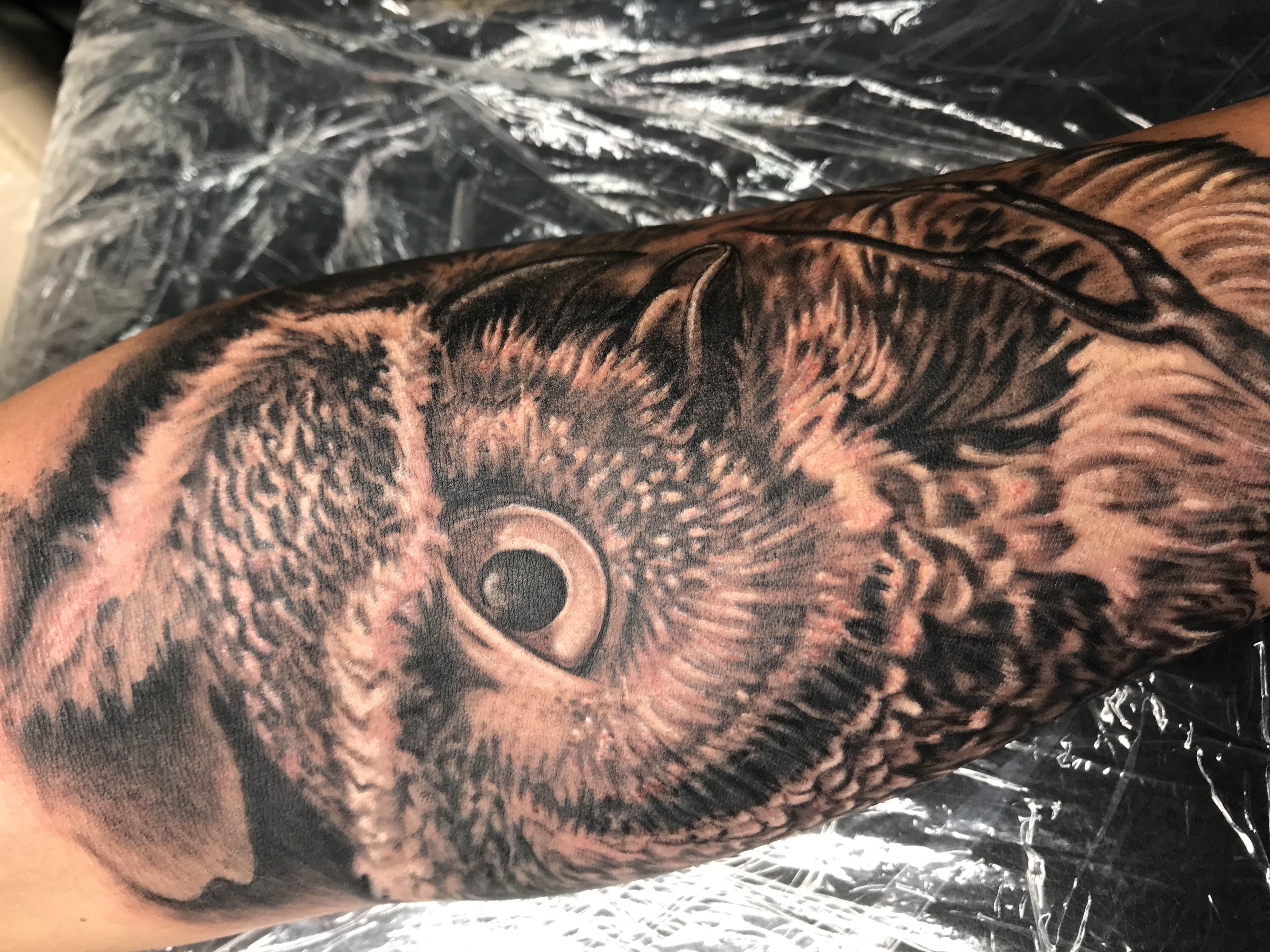Тату сова в Херсоне в Bey Tattoo 