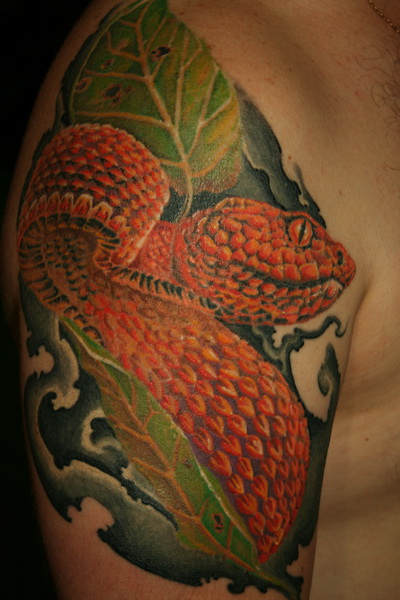 татуировка змея цветная,