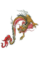 японская татуировка, тату япония,тату дракон