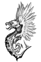 татуировка орнамент, грифон, дракон, черно белая татуировка