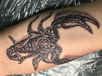 Татуировка скорпион на руке.