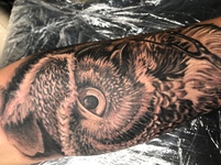 Тату сова в Херсоне в Bey Tattoo Gallery